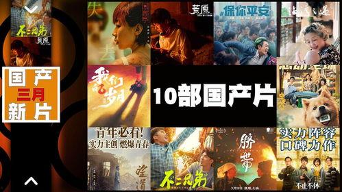 国产三级影院,揭秘隐秘的观影世界  第1张